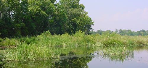 Climate Connection Workshops